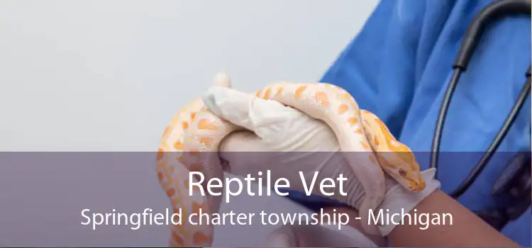 Reptile Vet Springfield charter township - Michigan