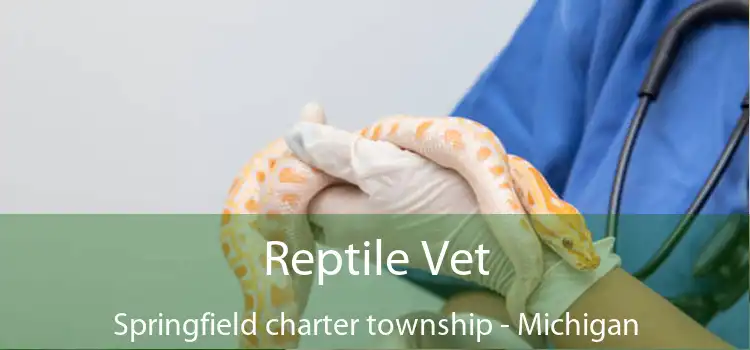 Reptile Vet Springfield charter township - Michigan