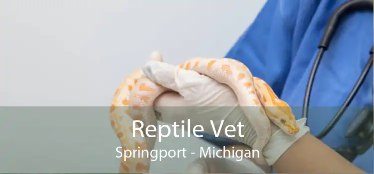 Reptile Vet Springport - Michigan