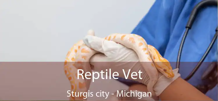 Reptile Vet Sturgis city - Michigan