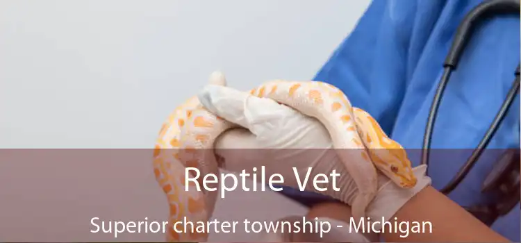 Reptile Vet Superior charter township - Michigan