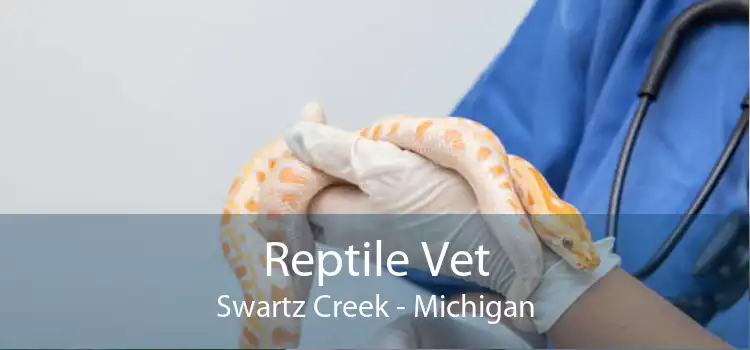 Reptile Vet Swartz Creek - Michigan