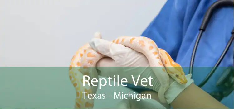 Reptile Vet Texas - Michigan