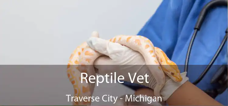 Reptile Vet Traverse City - Michigan