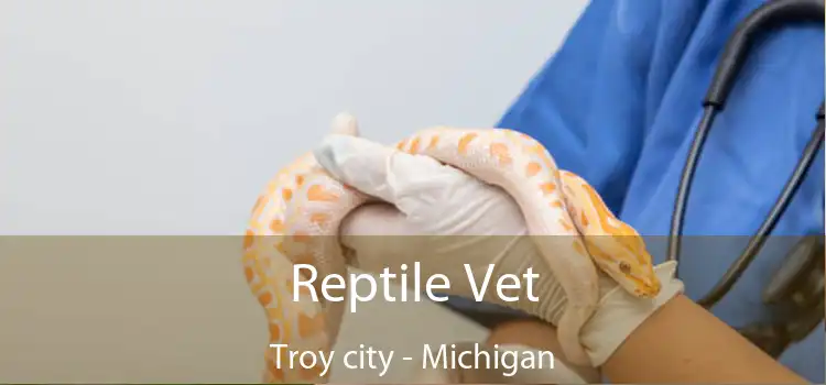 Reptile Vet Troy city - Michigan