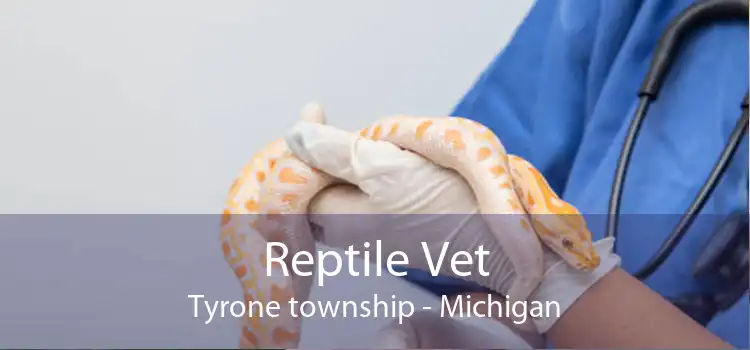 Reptile Vet Tyrone township - Michigan