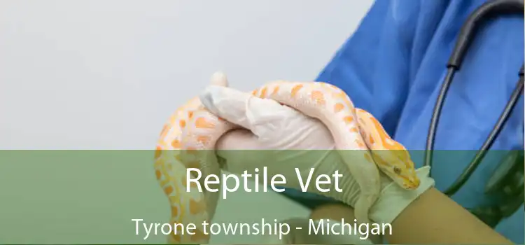 Reptile Vet Tyrone township - Michigan