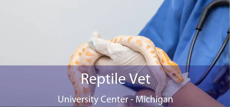 Reptile Vet University Center - Michigan