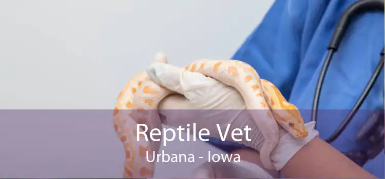 Reptile Vet Urbana - Iowa