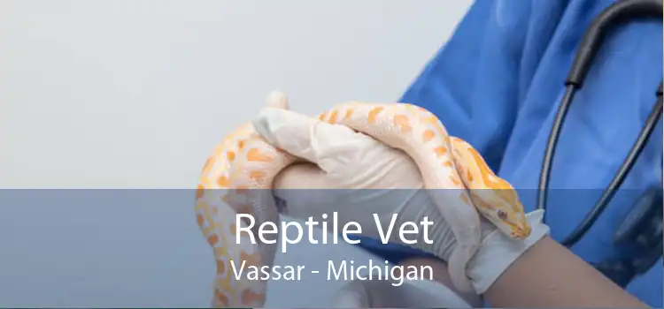 Reptile Vet Vassar - Michigan