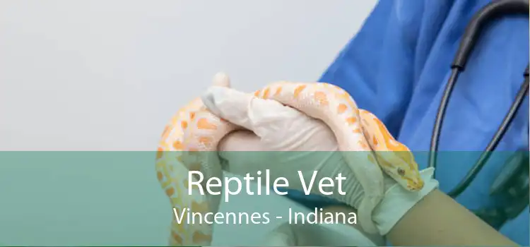 Reptile Vet Vincennes - Indiana