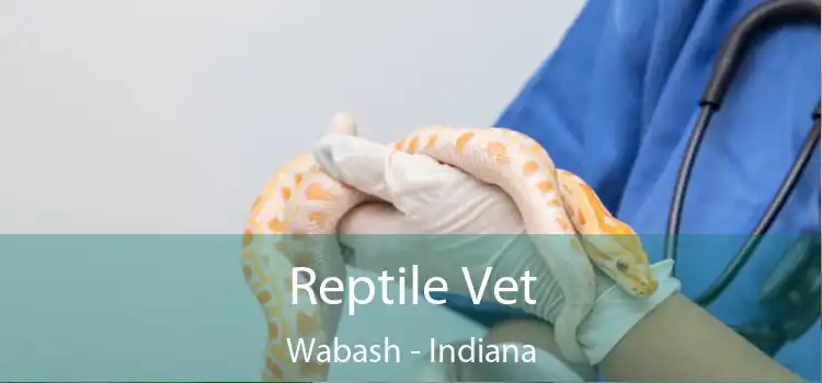 Reptile Vet Wabash - Indiana