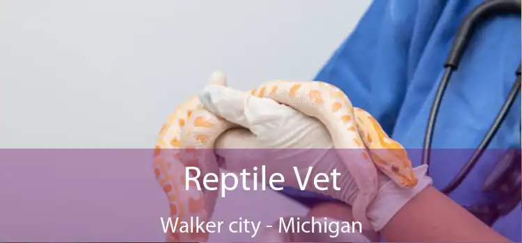 Reptile Vet Walker city - Michigan