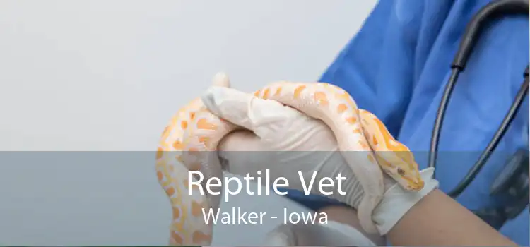 Reptile Vet Walker - Iowa