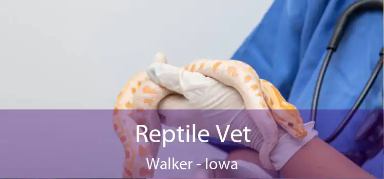 Reptile Vet Walker - Iowa