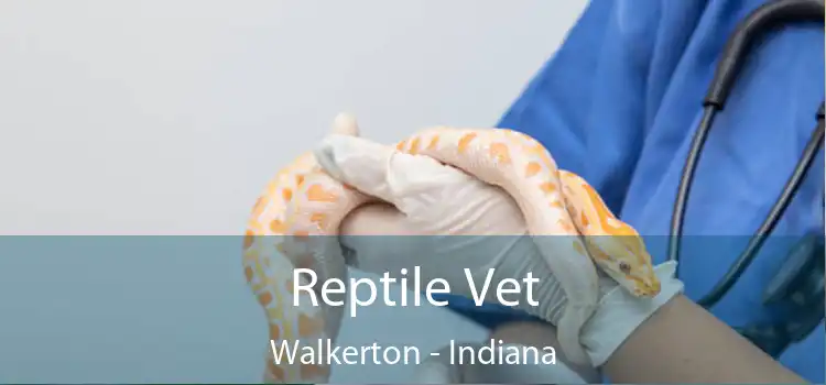 Reptile Vet Walkerton - Indiana