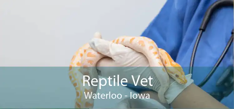 Reptile Vet Waterloo - Iowa