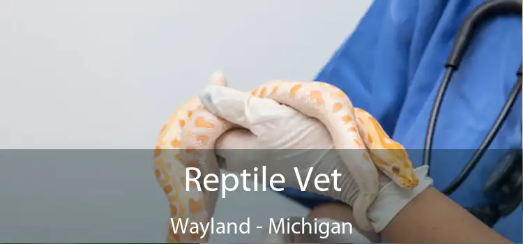 Reptile Vet Wayland - Michigan