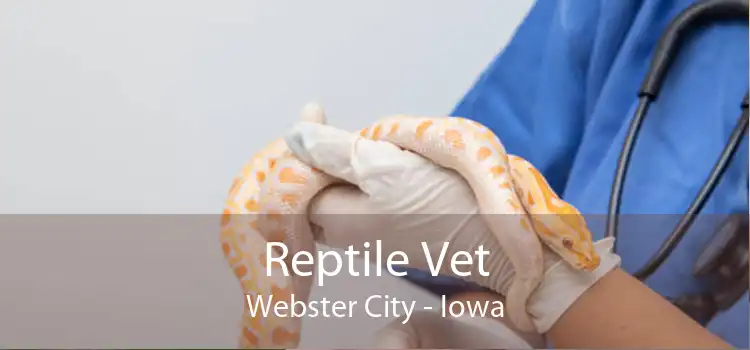 Reptile Vet Webster City - Iowa