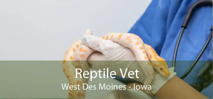 Reptile Vet West Des Moines - Iowa
