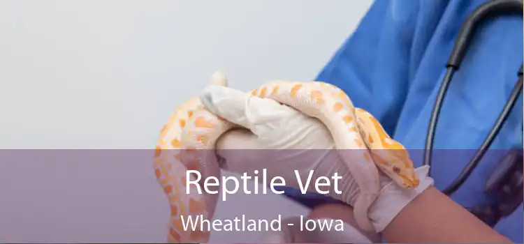 Reptile Vet Wheatland - Iowa