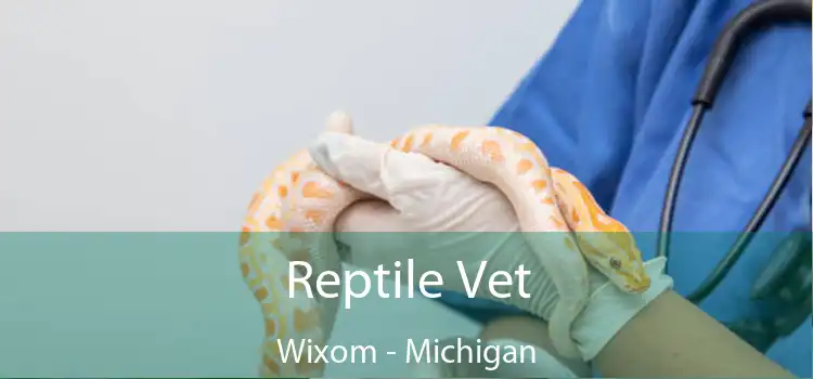 Reptile Vet Wixom - Michigan