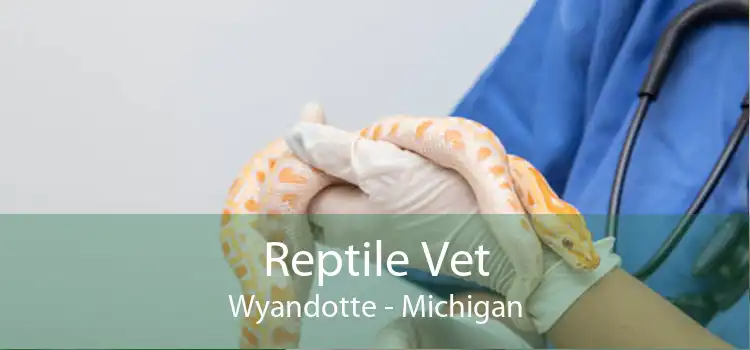 Reptile Vet Wyandotte - Michigan