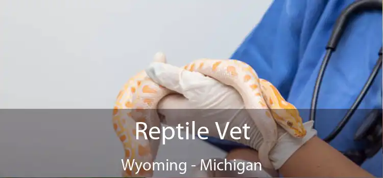 Reptile Vet Wyoming - Michigan