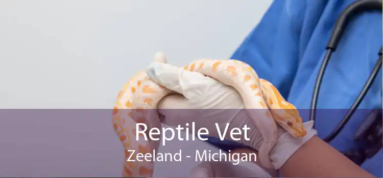 Reptile Vet Zeeland - Michigan