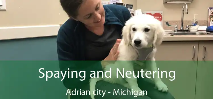 Spaying and Neutering Adrian city - Michigan