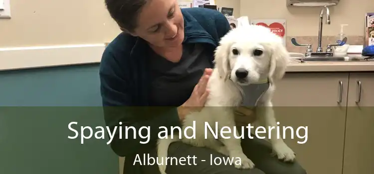 Spaying and Neutering Alburnett - Iowa