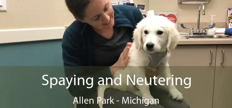 Spaying and Neutering Allen Park - Michigan