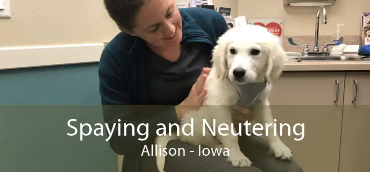 Spaying and Neutering Allison - Iowa