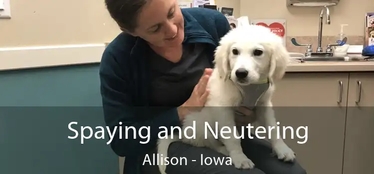 Spaying and Neutering Allison - Iowa