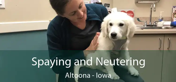 Spaying and Neutering Altoona - Iowa