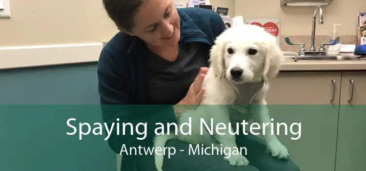 Spaying and Neutering Antwerp - Michigan