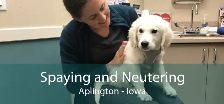 Spaying and Neutering Aplington - Iowa