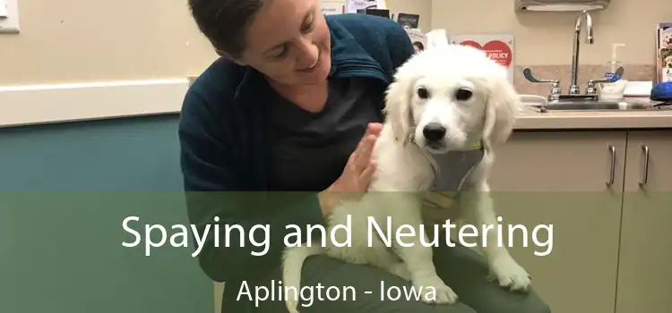 Spaying and Neutering Aplington - Iowa