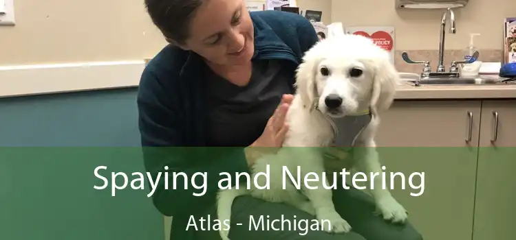 Spaying and Neutering Atlas - Michigan