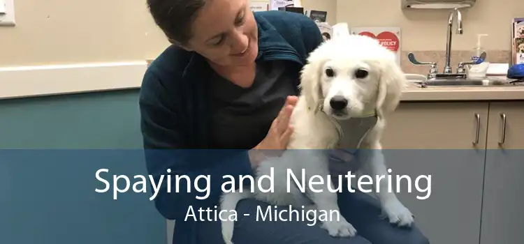 Spaying and Neutering Attica - Michigan