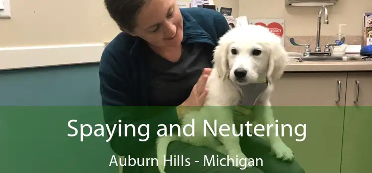 Spaying and Neutering Auburn Hills - Michigan