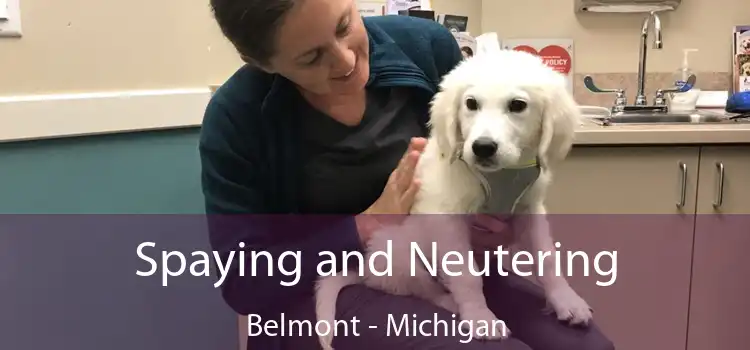 Spaying and Neutering Belmont - Michigan