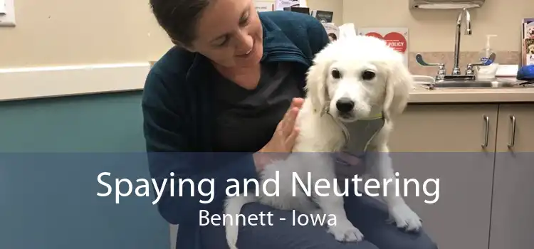 Spaying and Neutering Bennett - Iowa