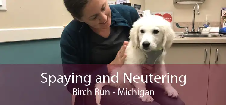 Spaying and Neutering Birch Run - Michigan