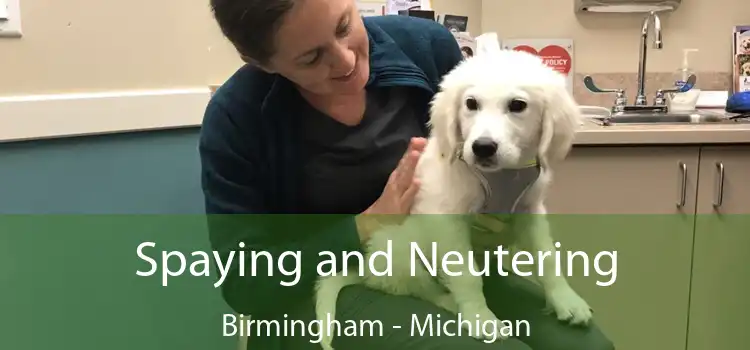 Spaying and Neutering Birmingham - Michigan