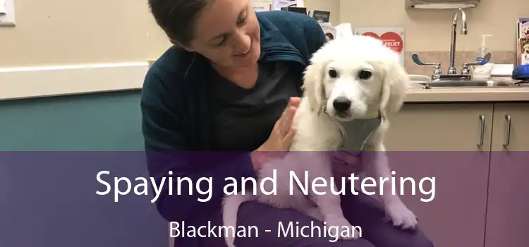 Spaying and Neutering Blackman - Michigan