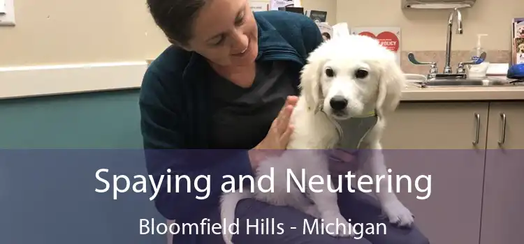 Spaying and Neutering Bloomfield Hills - Michigan