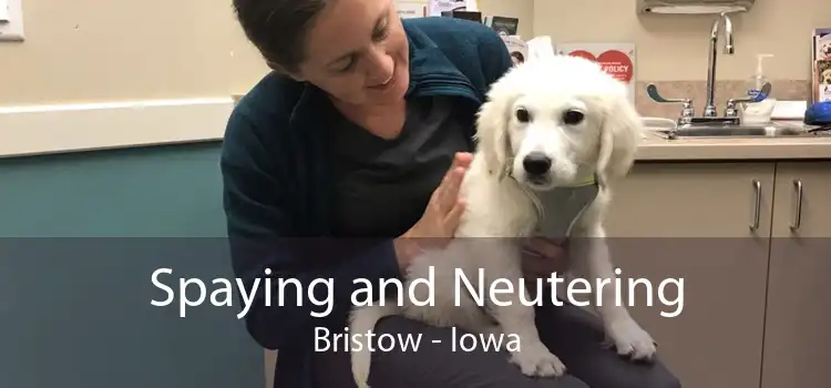 Spaying and Neutering Bristow - Iowa