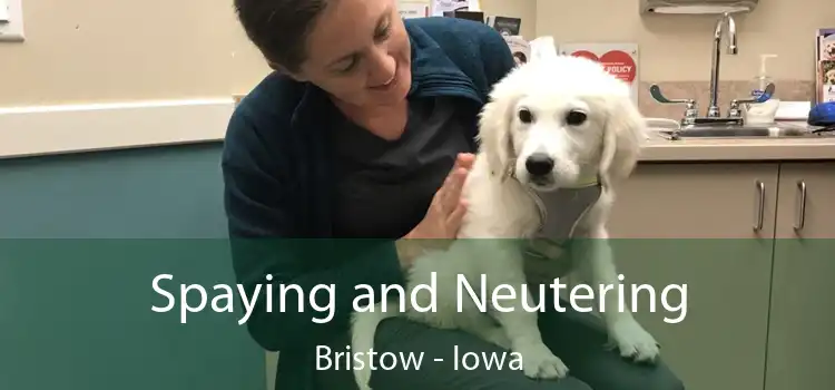 Spaying and Neutering Bristow - Iowa