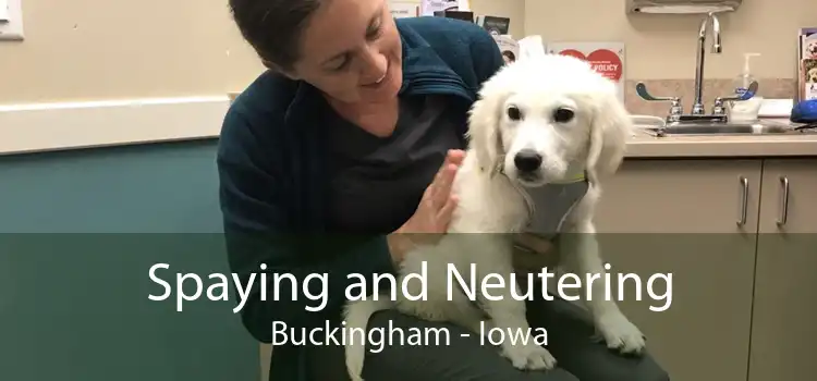 Spaying and Neutering Buckingham - Iowa